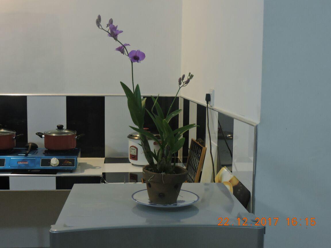 Akain Villa Dodanduwa 외부 사진